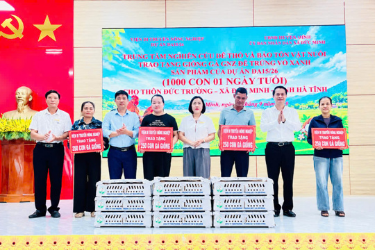 Đức Minh trao hỗ trợ 1.000 con gà giống GNZ đẻ trứng vỏ xanh cho 4 hộ dân thôn Đức Trường