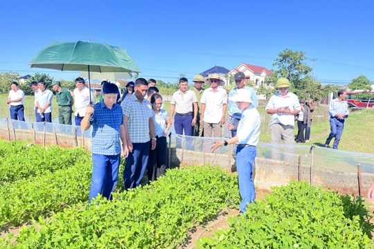 Đức Minh tập huấn, tham quan mô hình – hướng tới nâng cao hiệu quả sản xuất cây trồng vụ Đông