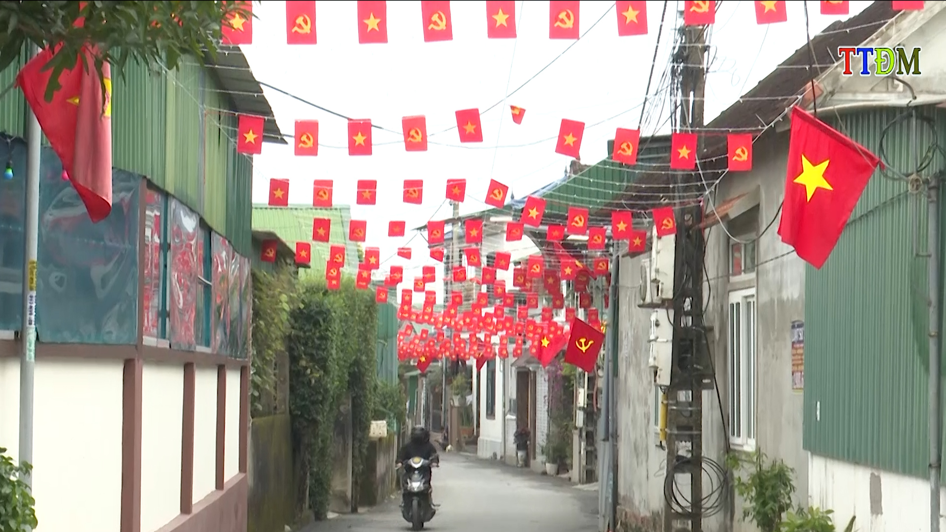 cờh6.jpg